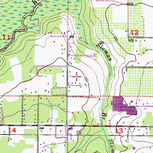 Topographic Map of Tagliarini, FL