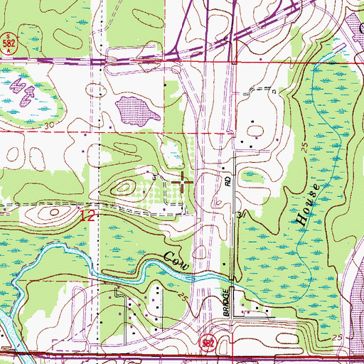 Topographic Map of Tampa Oaks, FL