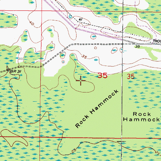 Topographic Map of Tampa Palms, FL