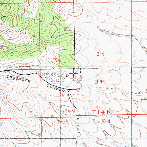 Topographic Map of Sagamore Canyon, CA