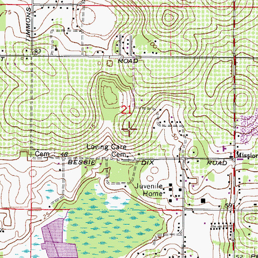 Topographic Map of Tangelo Terrace Estates, FL