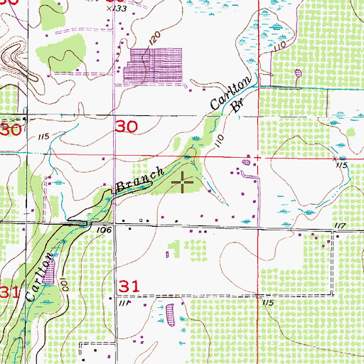 Topographic Map of Tatom Estates, FL