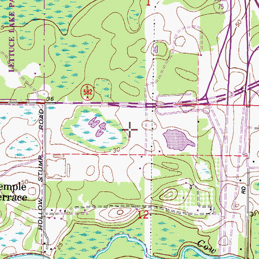 Topographic Map of The Arbors at Fletcher Island, FL