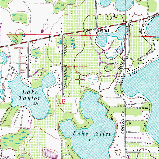 Topographic Map of The Cove at Lake Alice, FL