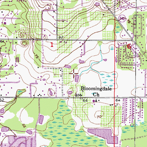 Topographic Map of The Estates at Bloomingdale, FL