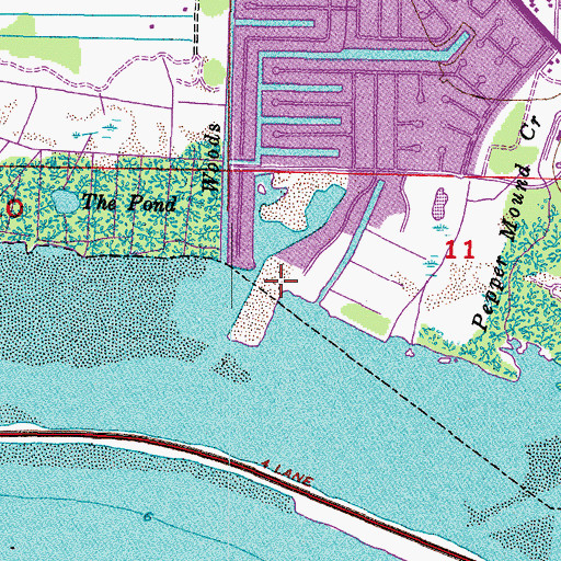 Topographic Map of The Reserve of Old Tampa Bay, FL