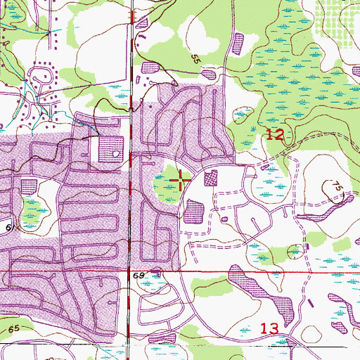 Topographic Map of The Villas at Bloomingdale, FL