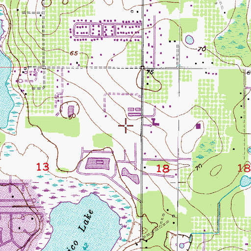 Topographic Map of The Willows, FL