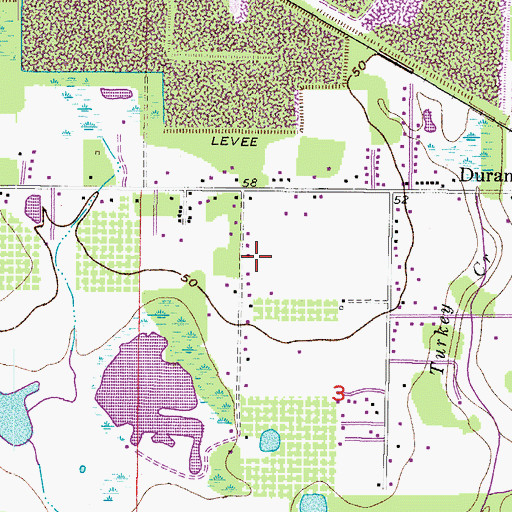 Topographic Map of Thompson Oaks, FL