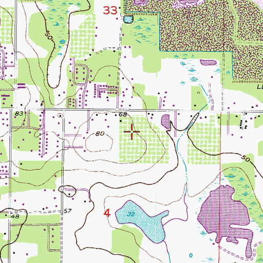 Topographic Map of Trails at Durant, FL