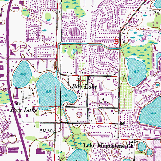 Topographic Map of Trevi at Bay Lake, FL