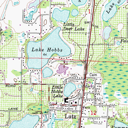 Topographic Map of Tropical Lakes, FL