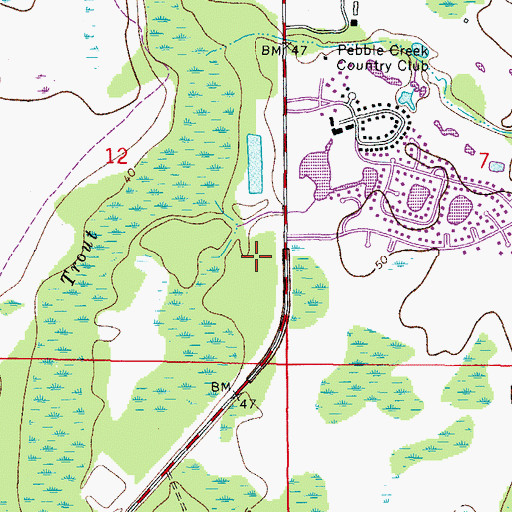 Topographic Map of Trout Creek Commons, FL