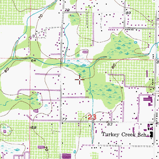 Topographic Map of Turkey Hollow, FL