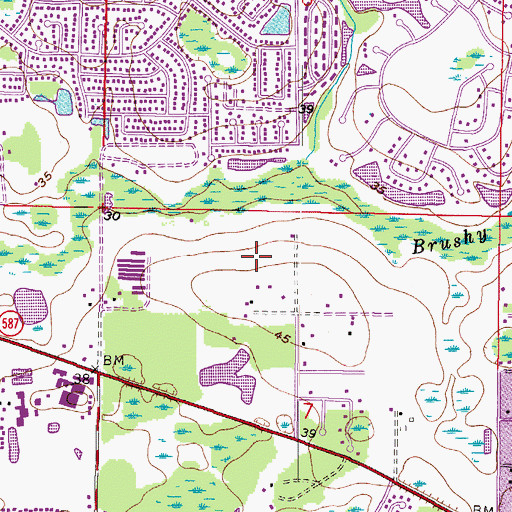 Topographic Map of Ventana, FL