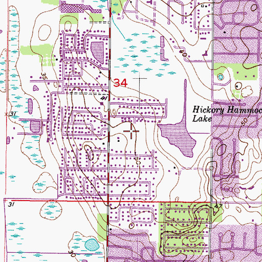Topographic Map of Vineyards, FL