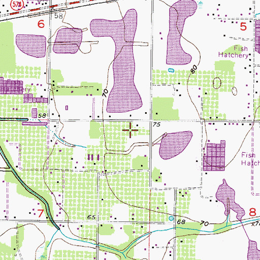 Topographic Map of Walden Groves, FL