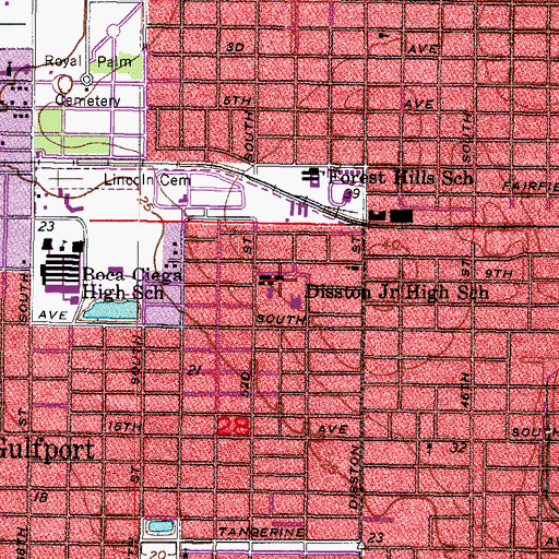 Topographic Map of Hamilton Disston School, FL