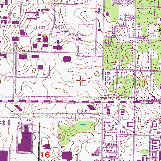 Topographic Map of USF - Patel Elementary School, FL