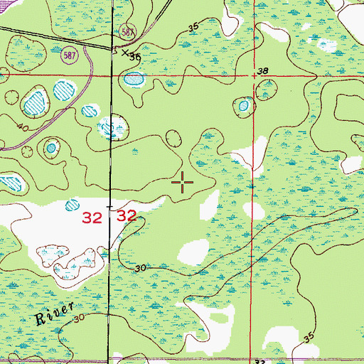 Topographic Map of River Ridge Middle School, FL