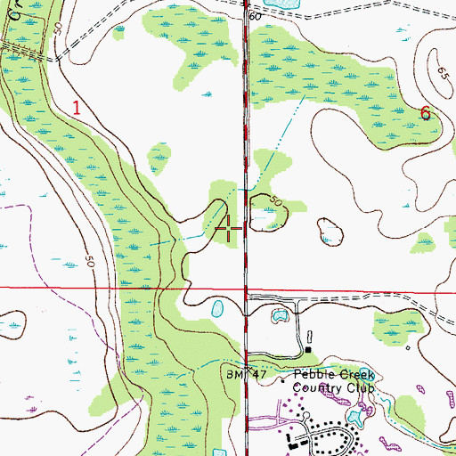 Topographic Map of Wharton High School, FL
