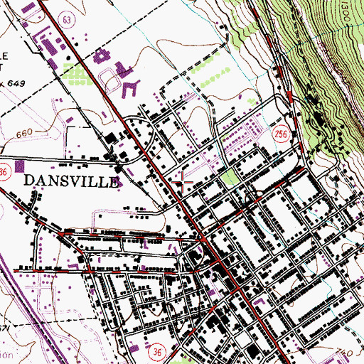 Topographic Map of Dansville Memorial Hospital (historical), NY