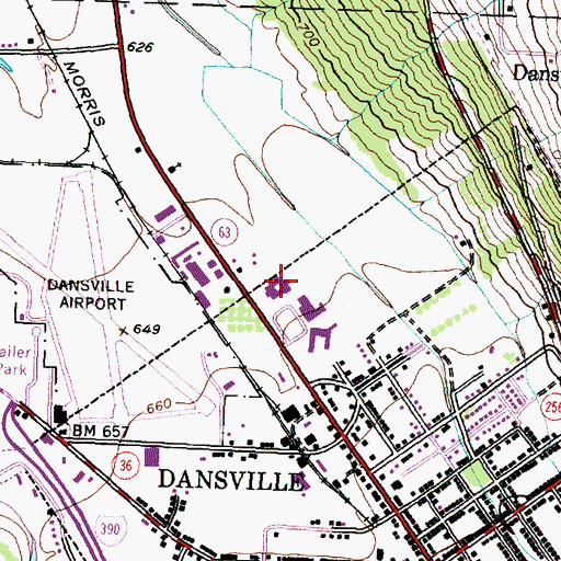 Topographic Map of Dansville Primary School, NY