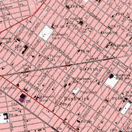 Topographic Map of Iglesia Pentecostal, NY