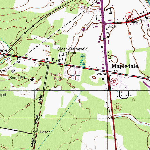Topographic Map of Mapledale Acres, NY