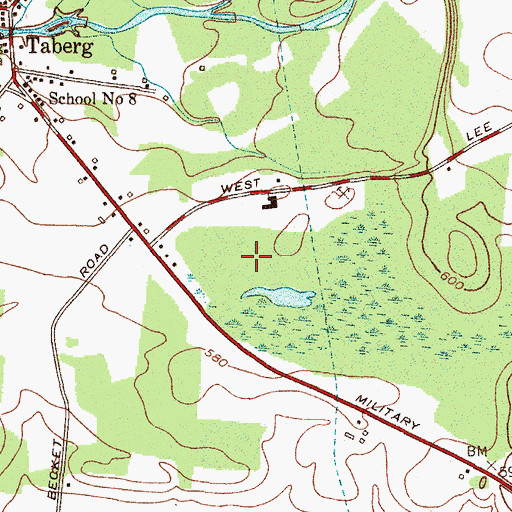 Topographic Map of Collins Mobile Home Park, NY