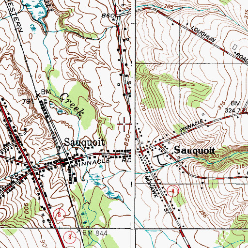 Topographic Map of Sauquoit Mobile Home Park, NY