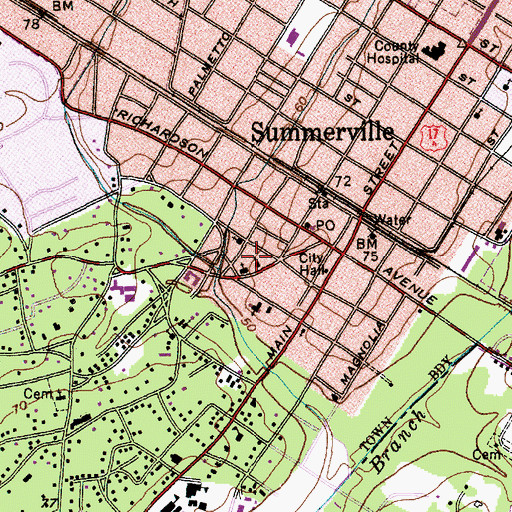 Topographic Map of Saint Luke's Children's Center, SC