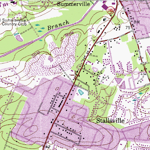 Topographic Map of The Gazebo School, SC