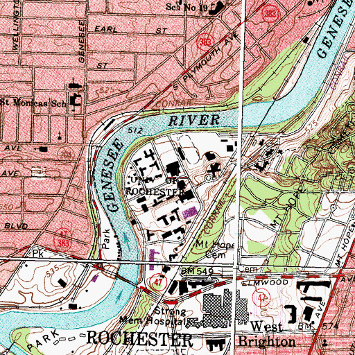 Topographic Map of Dandelion Square, NY