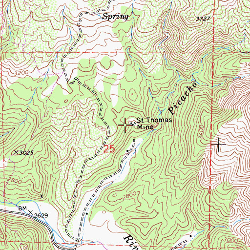 Topographic Map of Saint Thomas Mine, CA
