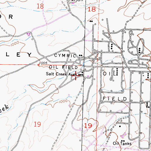 Topographic Map of Salt Creek Area, CA