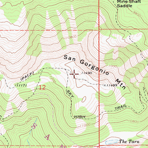 Topographic Map of San Gorgonio Mountain, CA