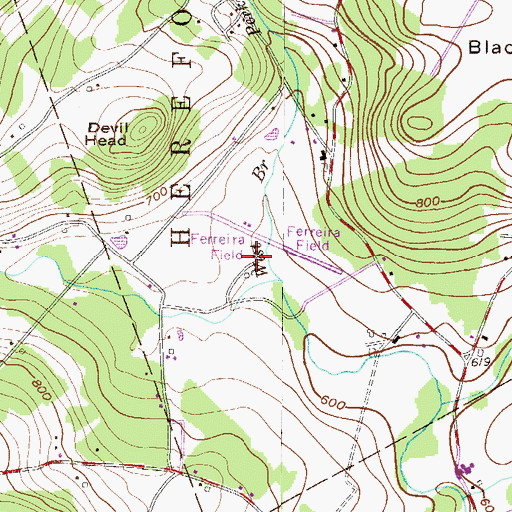 Topographic Map of The Inn at Bally Spring Farm, PA