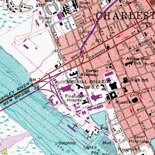 Topographic Map of Medical University of South Carolina Wellness Center, SC