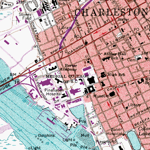 Topographic Map of Medical University of South Carolina Psychiatric Institute, SC