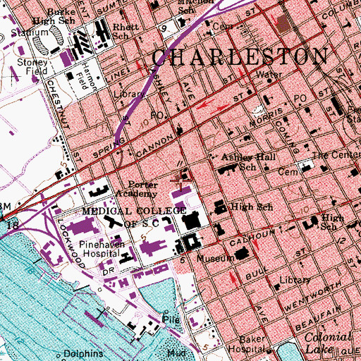 Topographic Map of Medical University of South Carolina Childrens Research Institute, SC