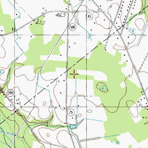 Topographic Map of Peaceful Baptist Church, SC