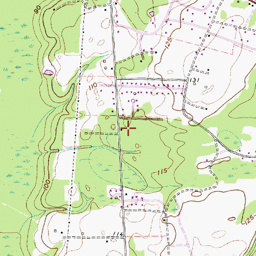 Topographic Map of Riverdale Residential Care Facility, SC