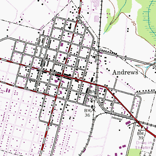 Topographic Map of Andrews Senior Center, SC