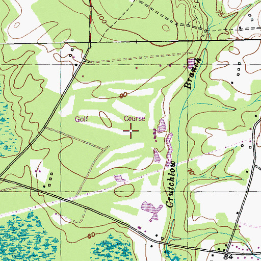 Topographic Map of Pineland Country Club, SC