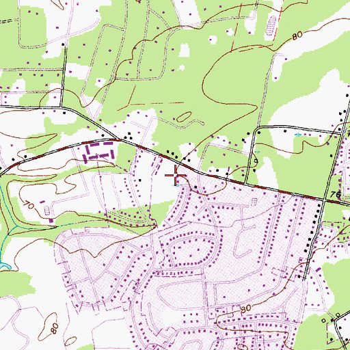 Topographic Map of Resurrection Church, SC