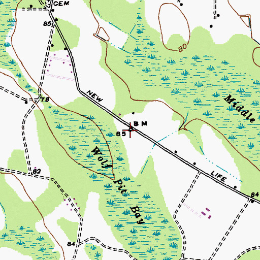 Topographic Map of Pleasant Grove Missionary Baptist Church, SC