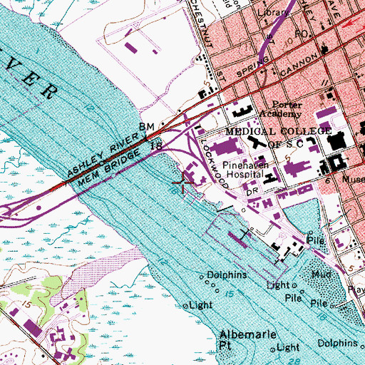 Topographic Map of The Harborage at Ashley Marina, SC