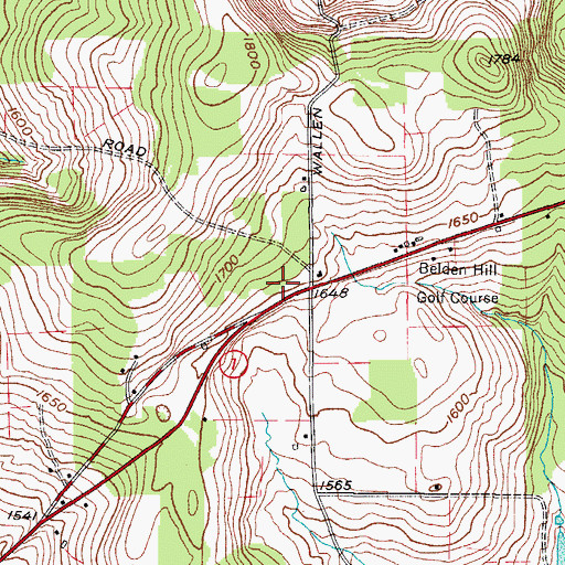 Topographic Map of Country Manor, NY