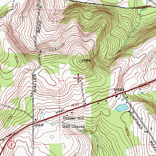 Topographic Map of Belden Hill, NY